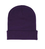 Sp5der Web Rhinestone Beanie Purple